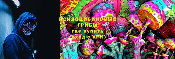 ПСИЛОЦИБИНОВЫЕ ГРИБЫ Абинск