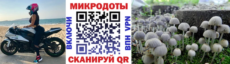 Псилоцибиновые грибы Cubensis  Усинск 