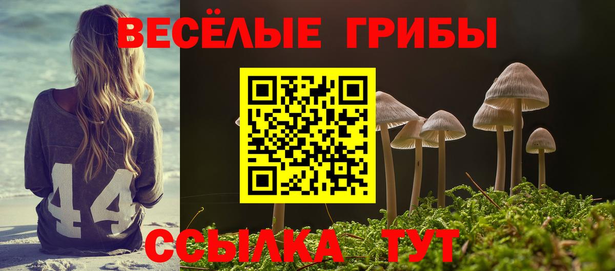Усинск  Галлюциногенные грибы Cubensis  Галлюциногенные грибы Cubensis  Вход с VPN 